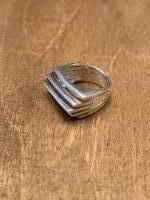 Vijf ringen ring (925 sterling zilver)