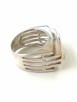 Vijf ringen ring (925 sterling zilver)